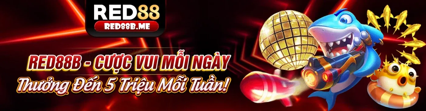 Hình ảnh chính về Tuân thủ GDPR và Bảo vệ dữ liệu tại ứng dụng 88nn123